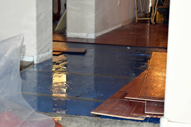 Professional Water Extraction technician working in Forestville, MI