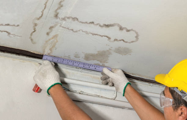 Reliable Water Extraction contractor in Forestville, MI by Aqua Guard Water Damage